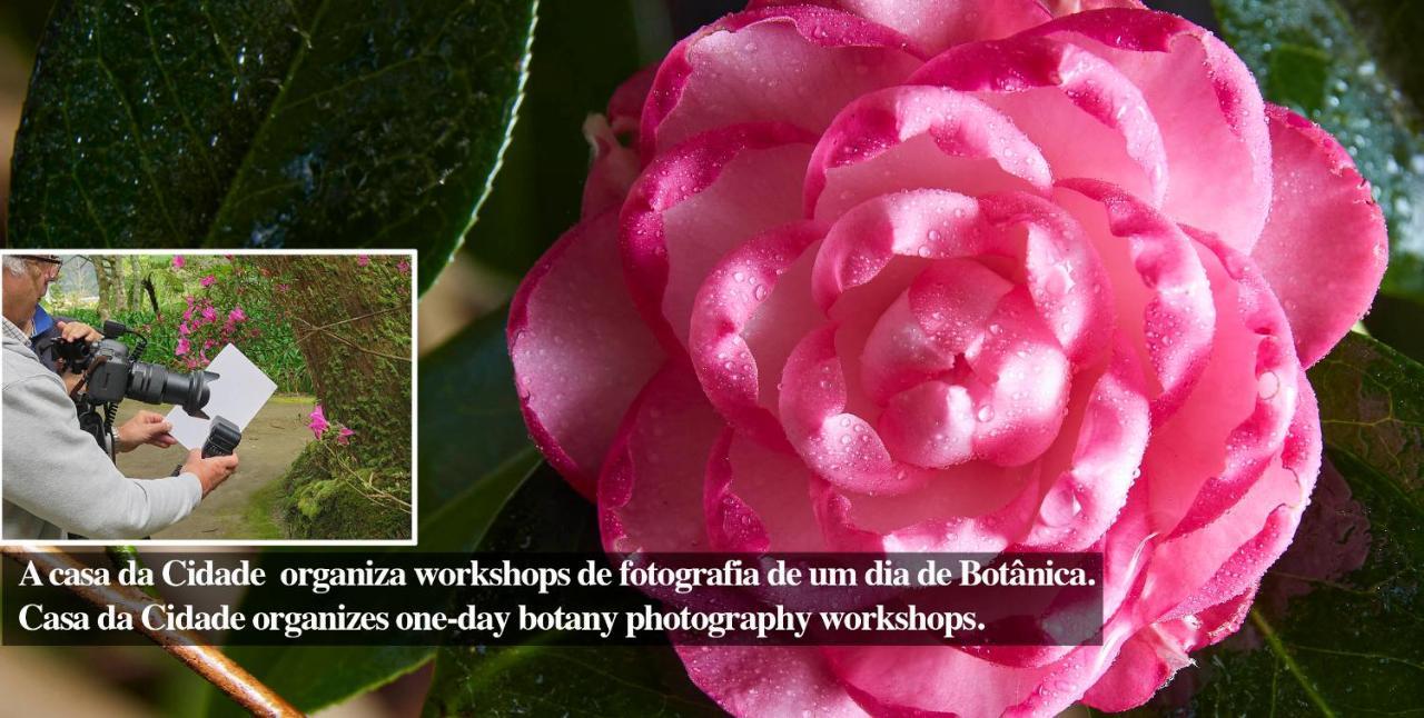 Casadacidade Ponta Delgada  Bagian luar foto